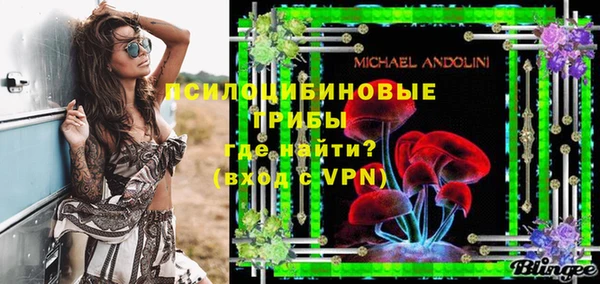 PSILOCYBIN Михайловка