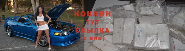 винт Надым