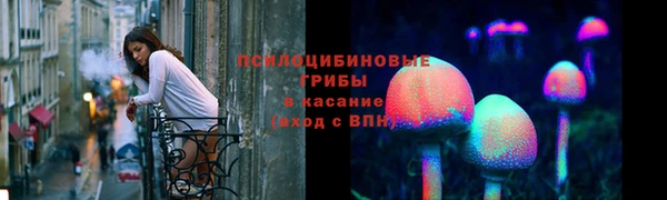 PSILOCYBIN Михайловка