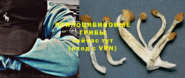 эйфоретик Михайлов