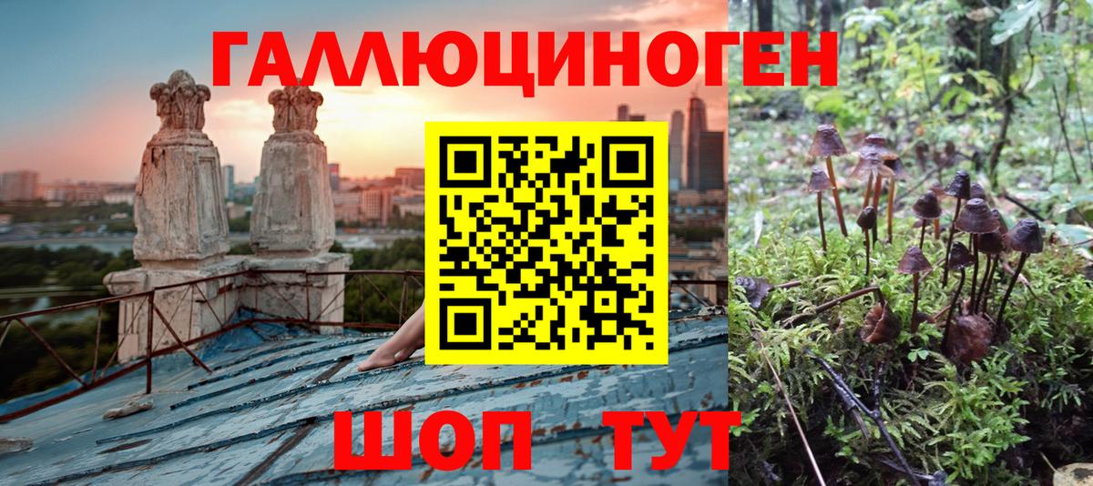 Псилоцибиновые грибы ЛСД  Вход с VPN  Галлюциногенные грибы Cubensis  Магнитогорск 